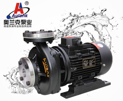 RGZ 高溫循環(huán)泵.jpg